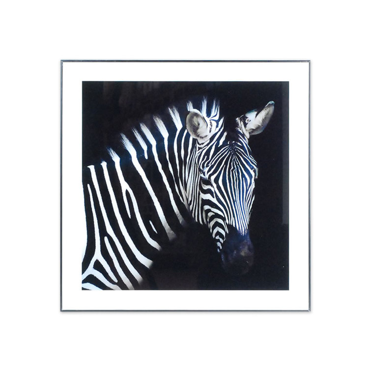 Latitude Run By Sigris Zebra Picture Frame on Wayfair.co.uk